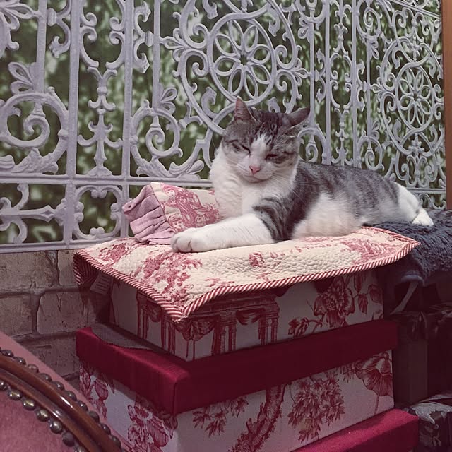 emmyyさんの実例写真