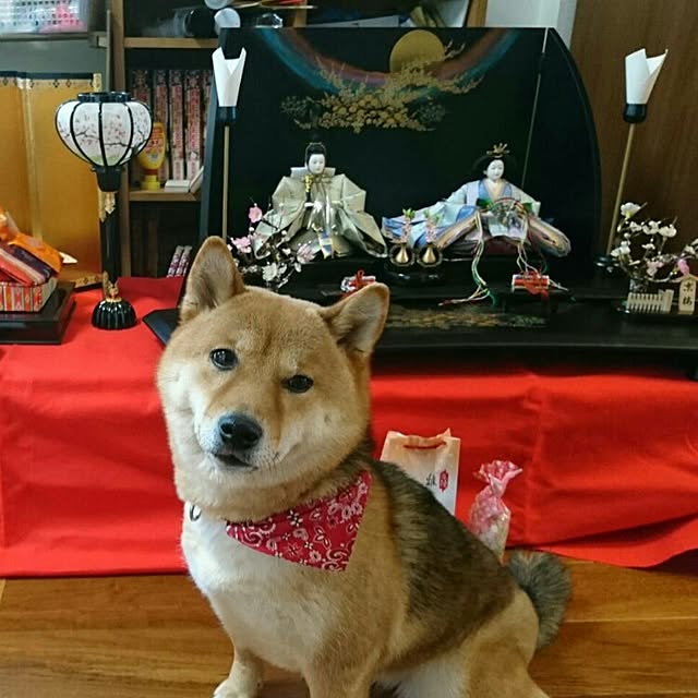 wakenさんの実例写真