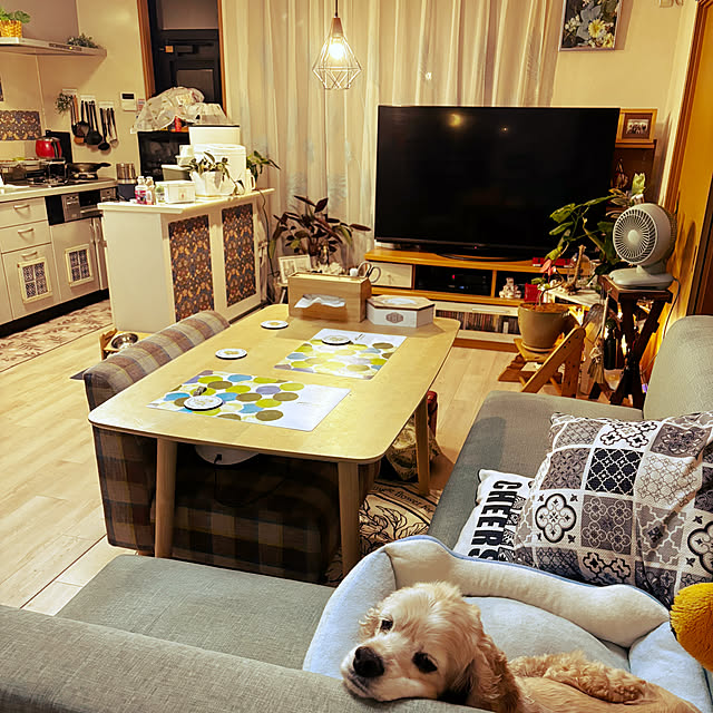 部屋全体のインテリア実例 - 2024-08-30 21:40:21