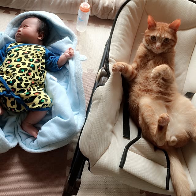 jdannabcさんの実例写真