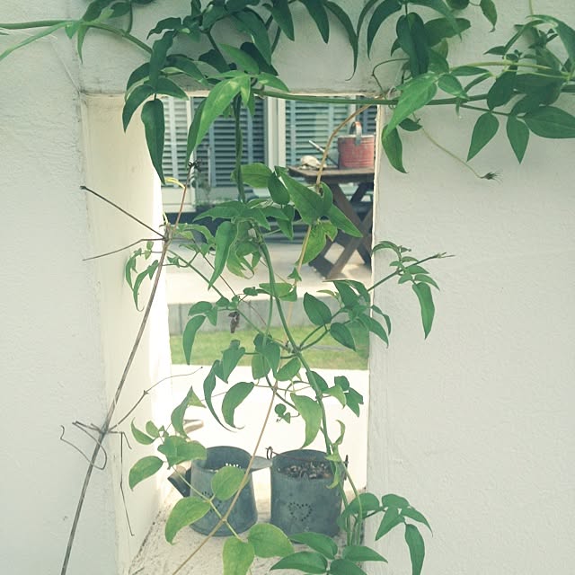 satototoさんの実例写真