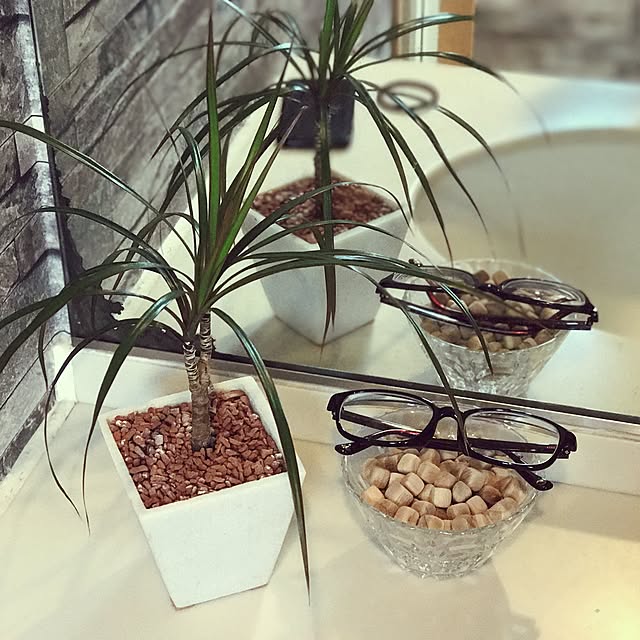 バス/トイレ/ガーデニング/観葉植物のインテリア実例 - 2017-05-22 08:25:35
