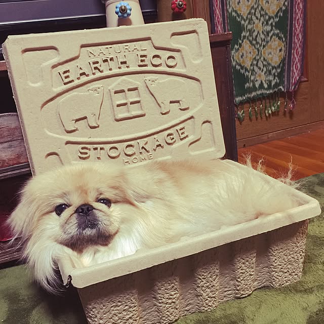 chi-taroさんの実例写真