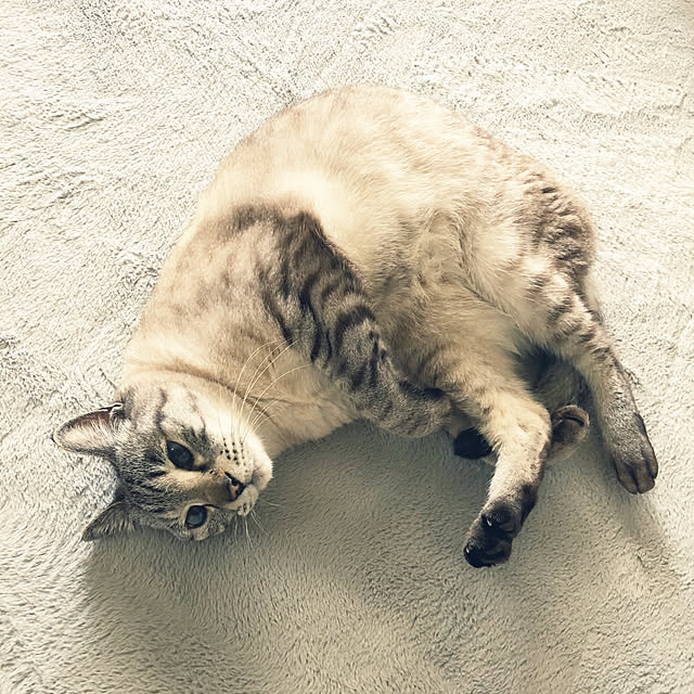 mieさんの実例写真