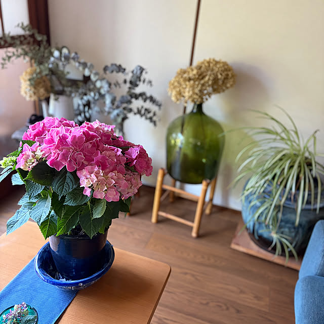 buchiさんの部屋