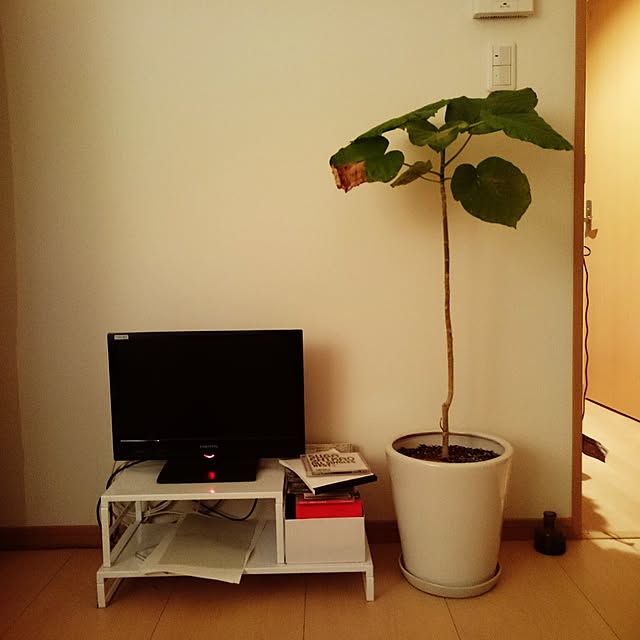 yanopanさんの実例写真
