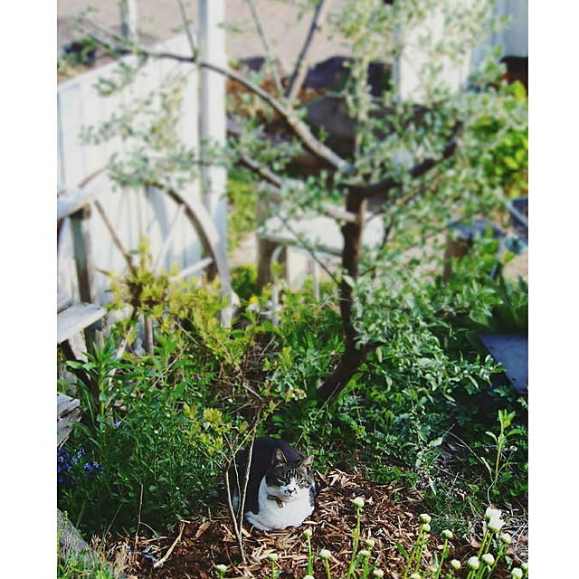 yukiさんの実例写真
