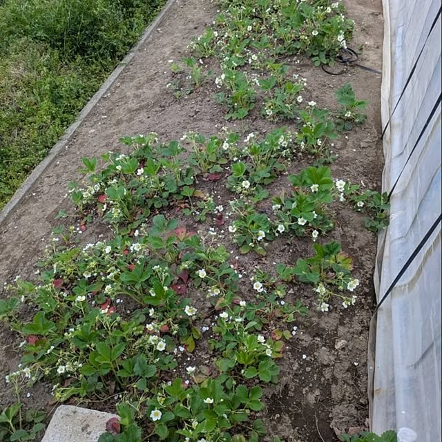 minnieさんの部屋