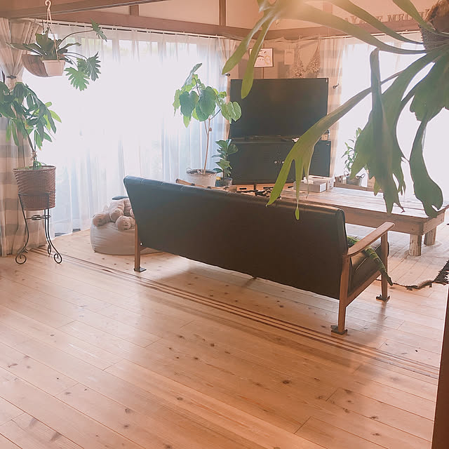kinokotoriさんの実例写真