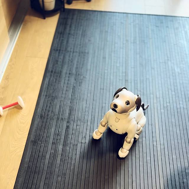aureaさんの実例写真