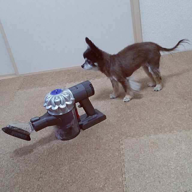 nia1213さんの実例写真