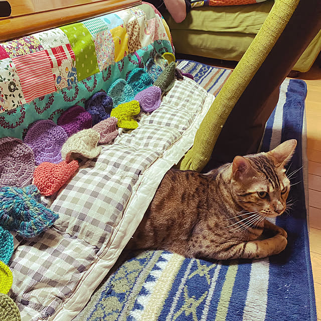 yuzuaoさんの実例写真