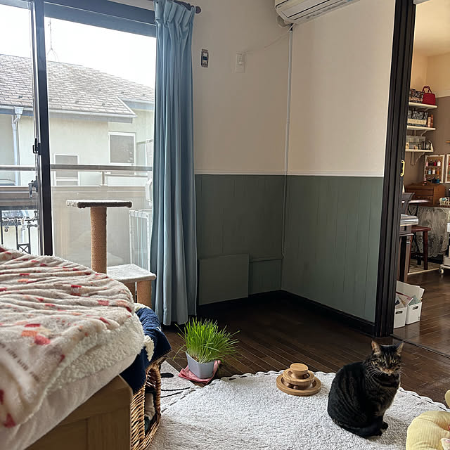 momocchiさんの実例写真