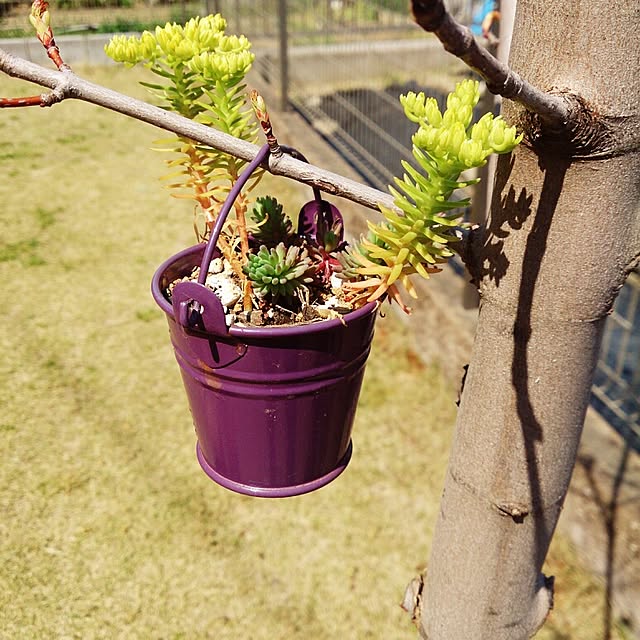 yutukiさんの実例写真