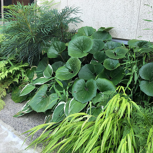 tenawanko913さんの実例写真