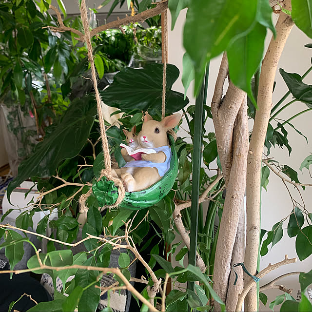 Aqettyさんの実例写真
