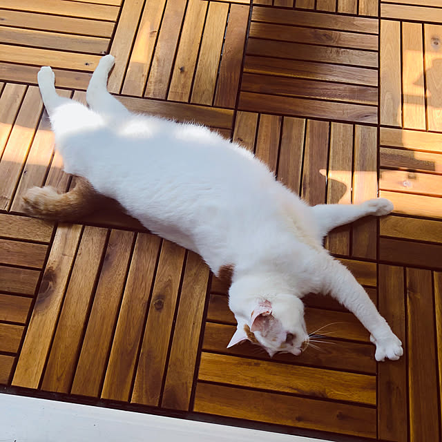 hakukouyuさんの実例写真