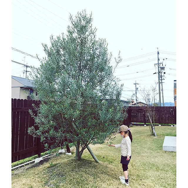 kicheさんの実例写真
