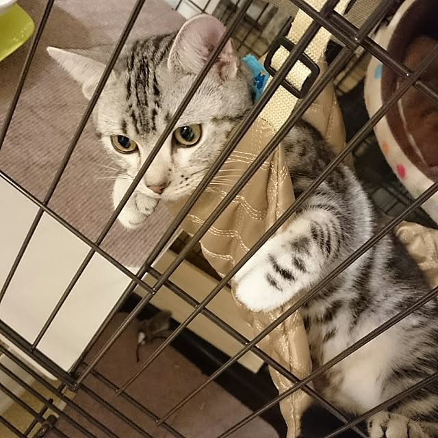 Reoさんの実例写真