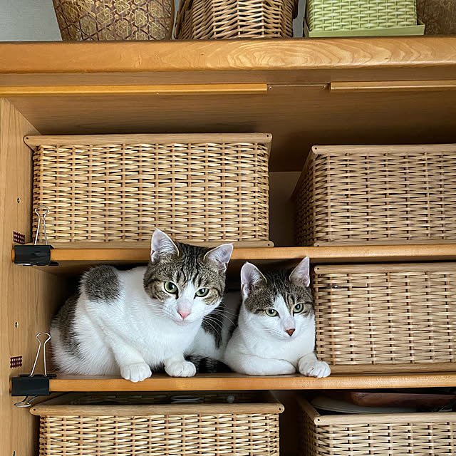 Lufuさんの実例写真