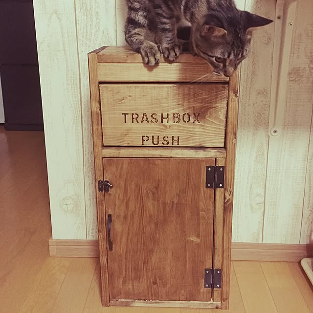 meguさんの実例写真