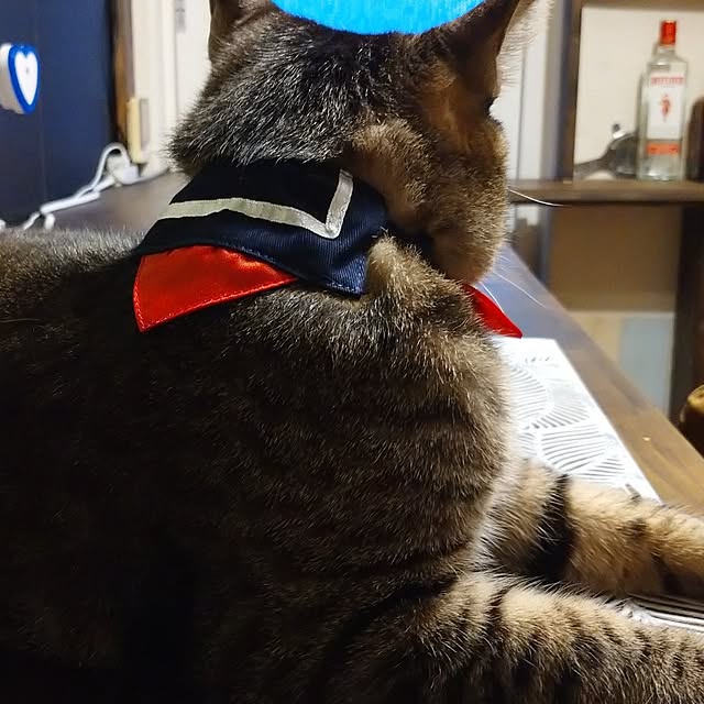 raraさんの部屋