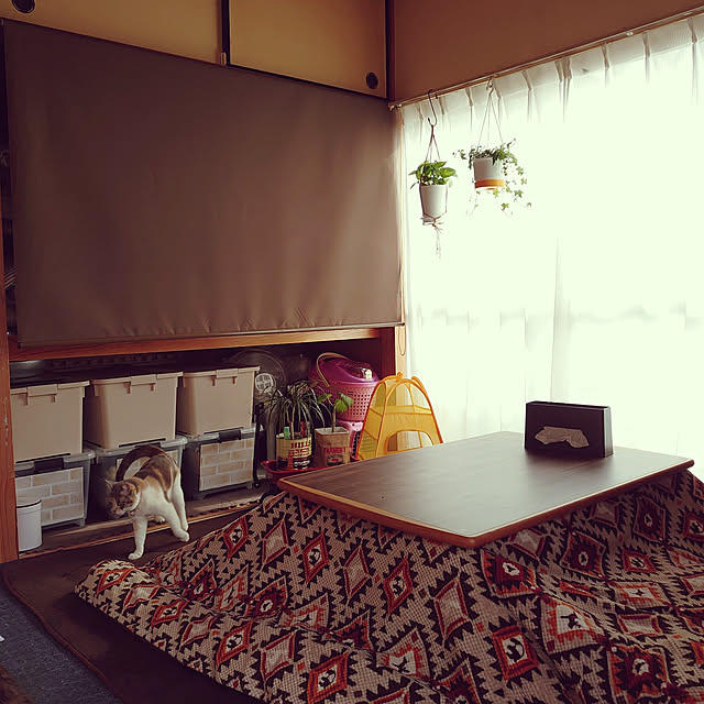 fukuさんの実例写真