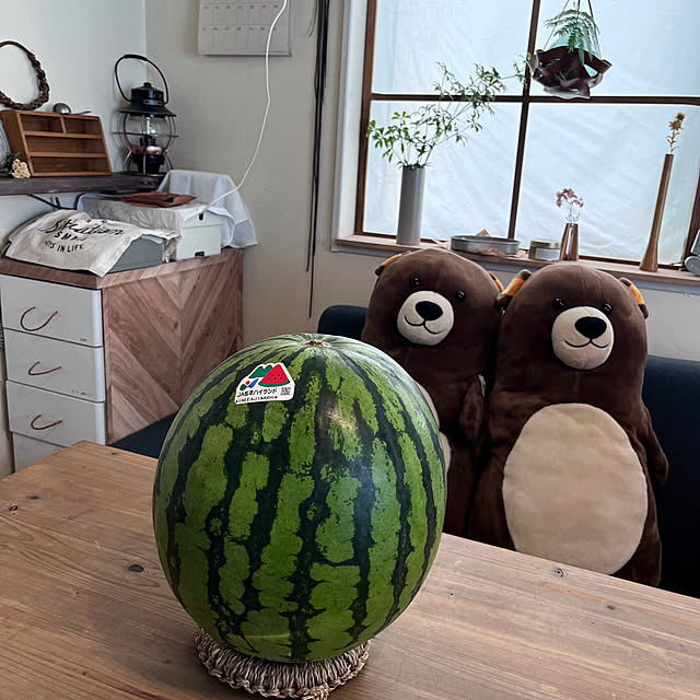 okkunさんの実例写真