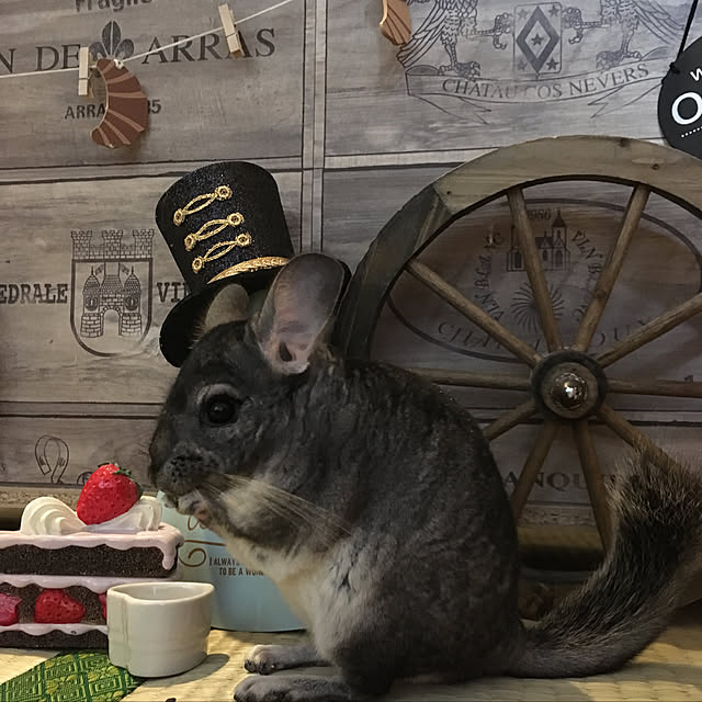 bambiさんの実例写真