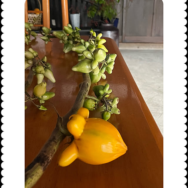 cotaさんの部屋