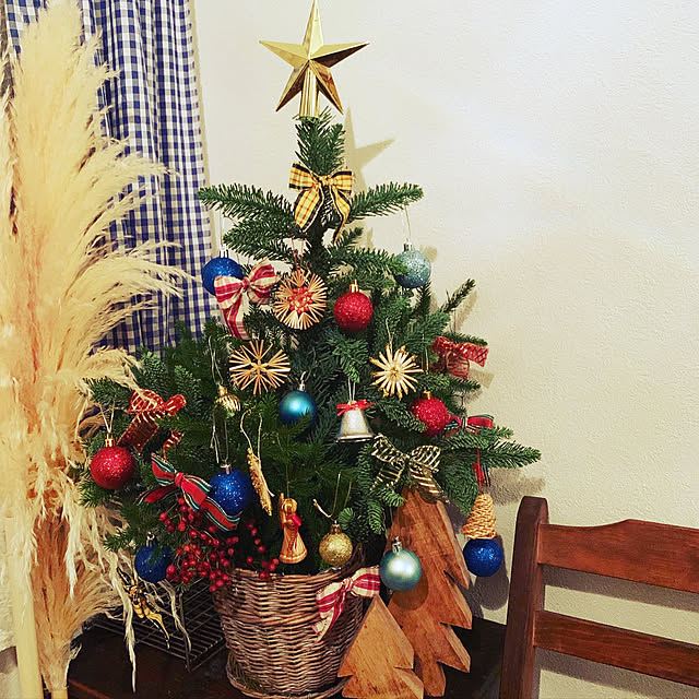クリスマスツリー/玄関/入り口のインテリア実例 - 2021-11-17 21:34:46