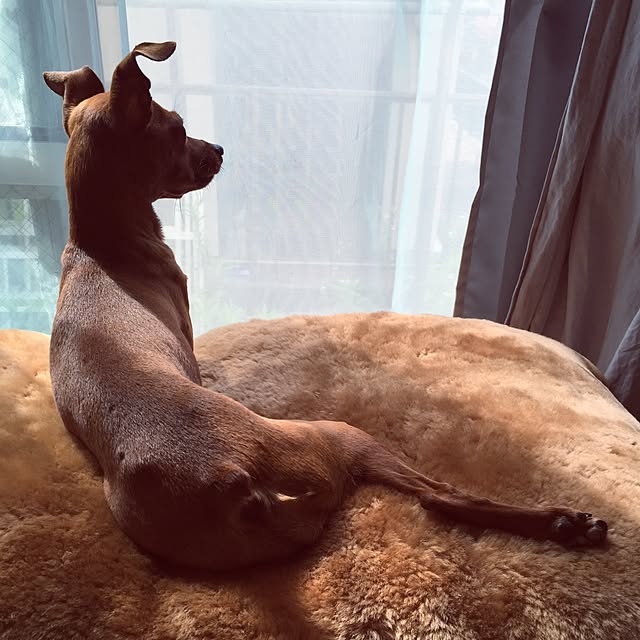 l_heureuxさんの実例写真