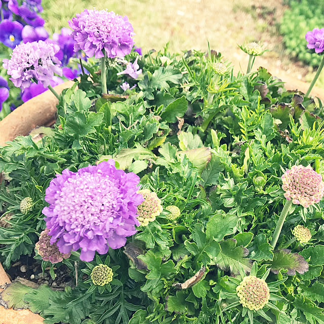 RiNaさんの実例写真