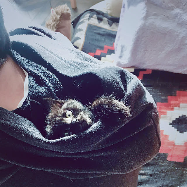 maroさんの実例写真