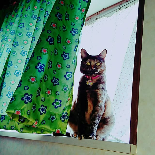 maamaさんの実例写真