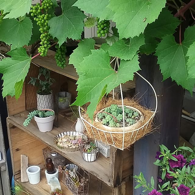 yukkoさんの実例写真