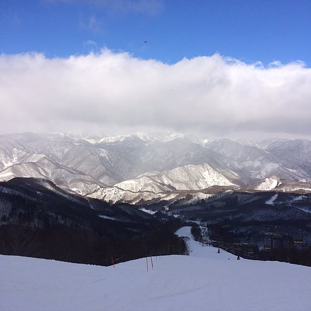 実例写真