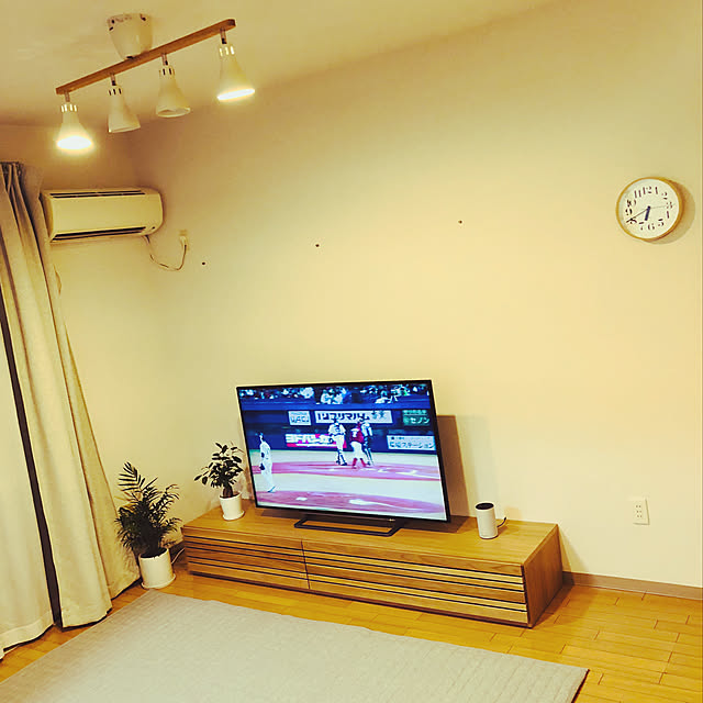 リビング/観葉植物/北欧/照明のインテリア実例 - 2018-09-01 18:43:20