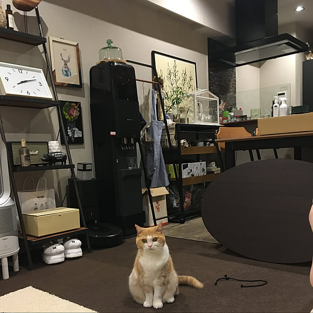 Ellenaさんの実例写真