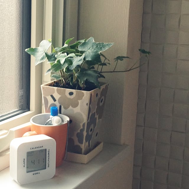 minminさんの実例写真