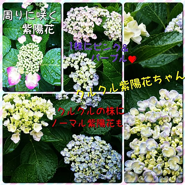 TKEさんの実例写真