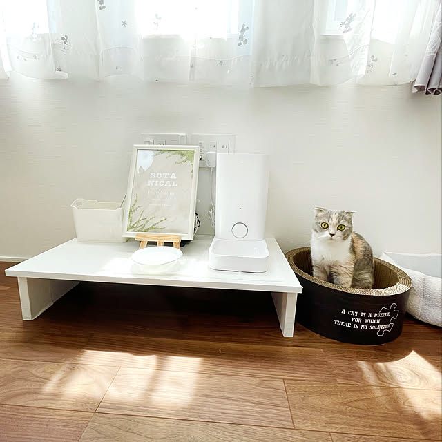 bunbun0buさんの実例写真