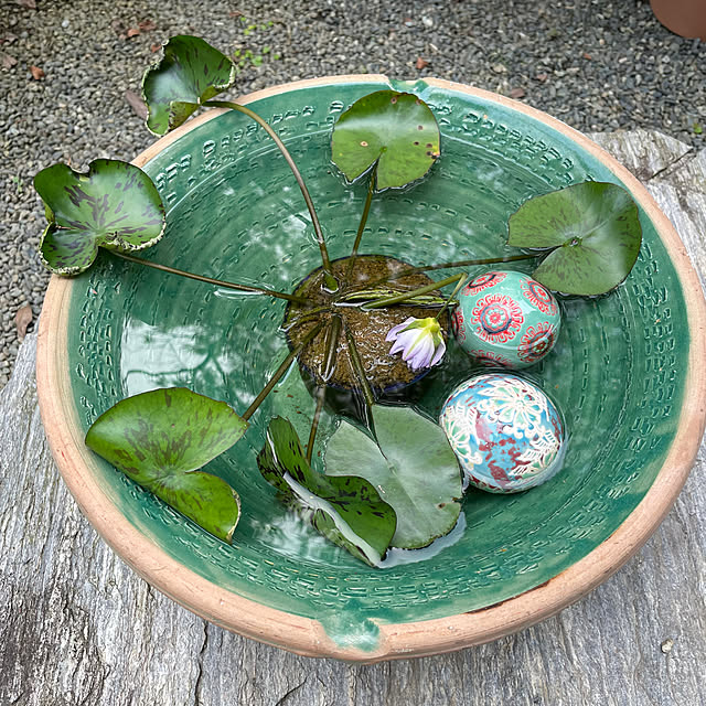 shin0719さんの実例写真