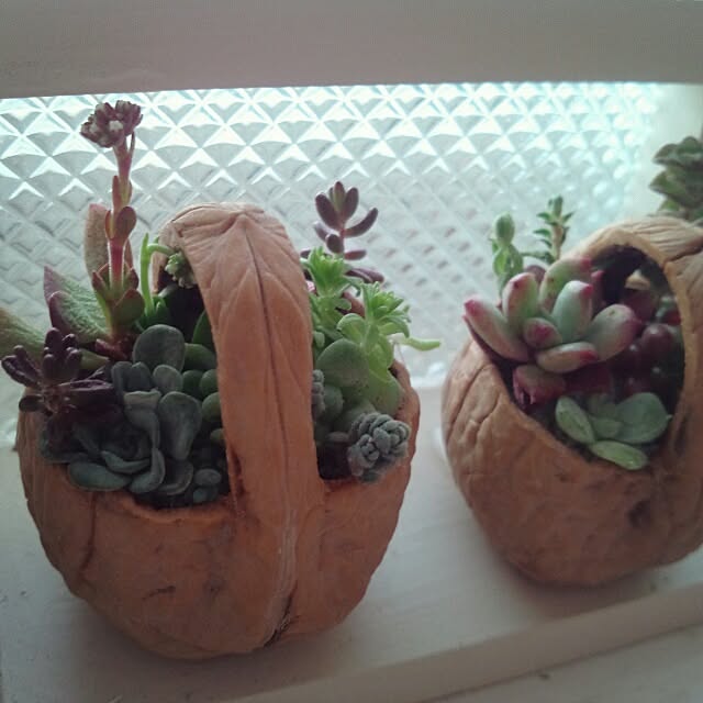 kokkomachaさんの実例写真
