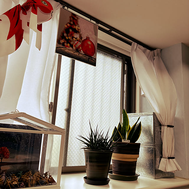 koshiregutyoさんの部屋