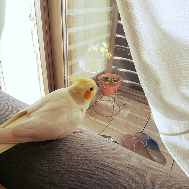 pontaさんの実例写真
