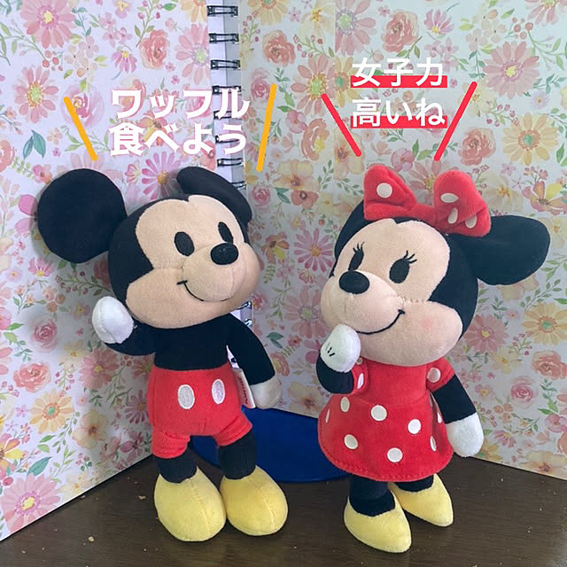 manduonmaさんの部屋