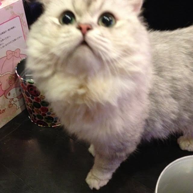horurunさんの実例写真