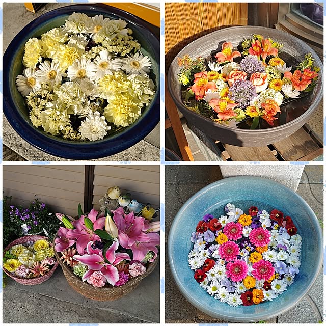 yumirinさんの部屋