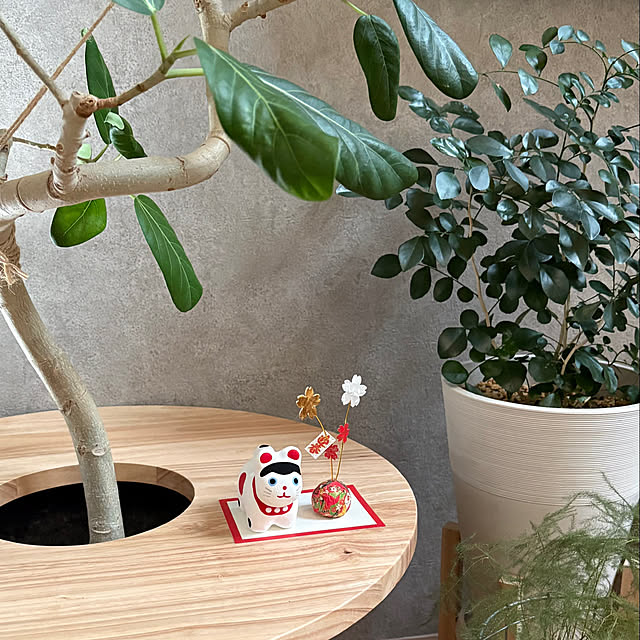 Rさんの実例写真